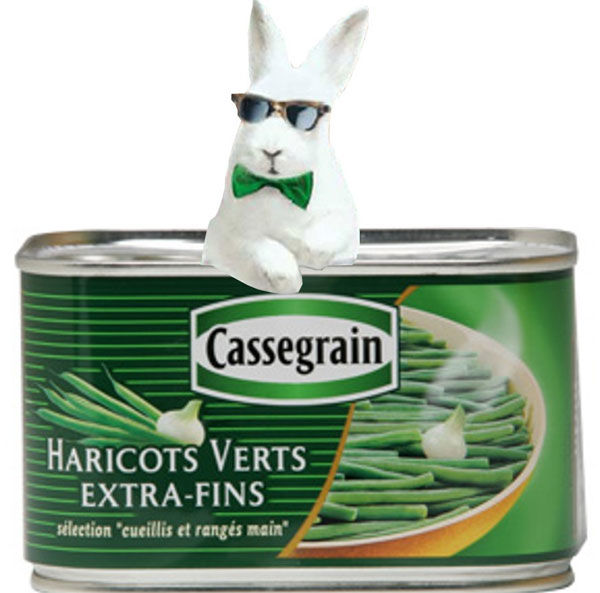 lapin cassegrain