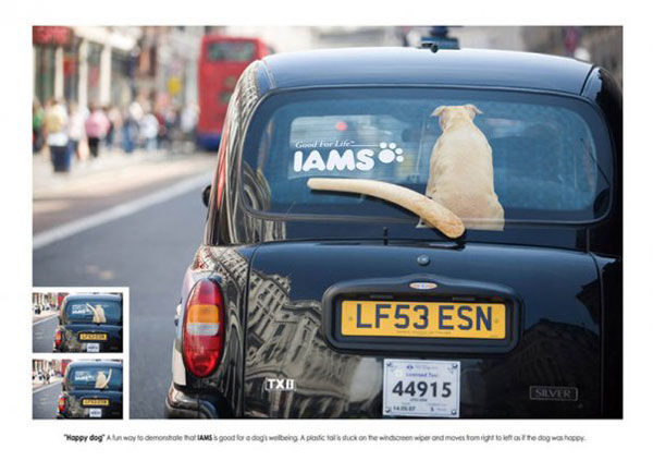 iams street marketing