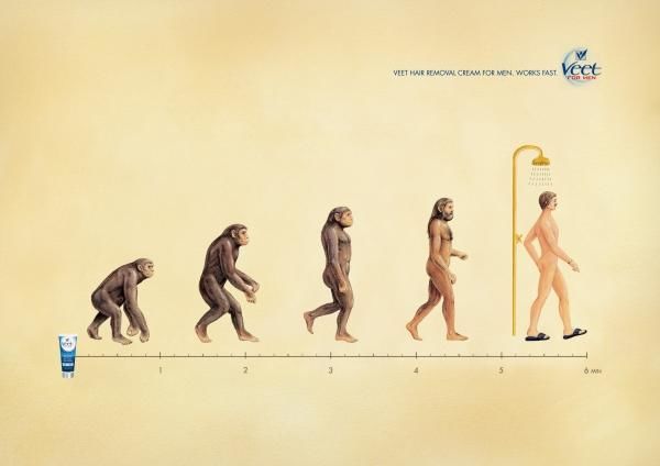 pub evolution Veet