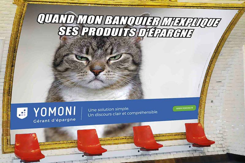 publicité mème Yomoni lolcat