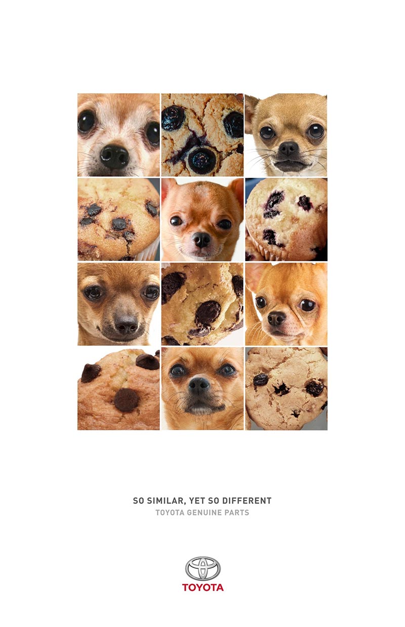 publicité mème muffin dog