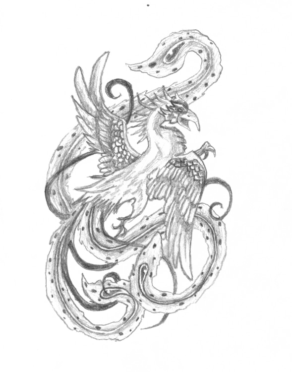 phoenix dessin